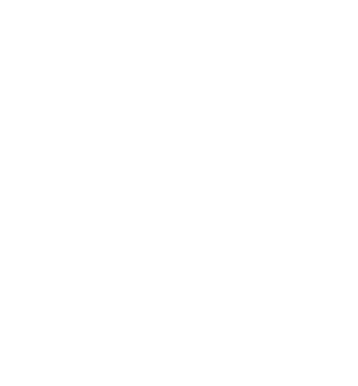 Wagon Network