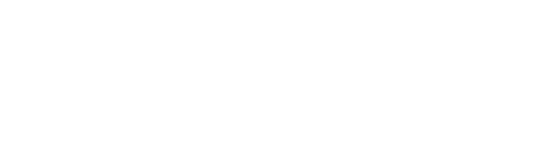 Wagon Network Logo