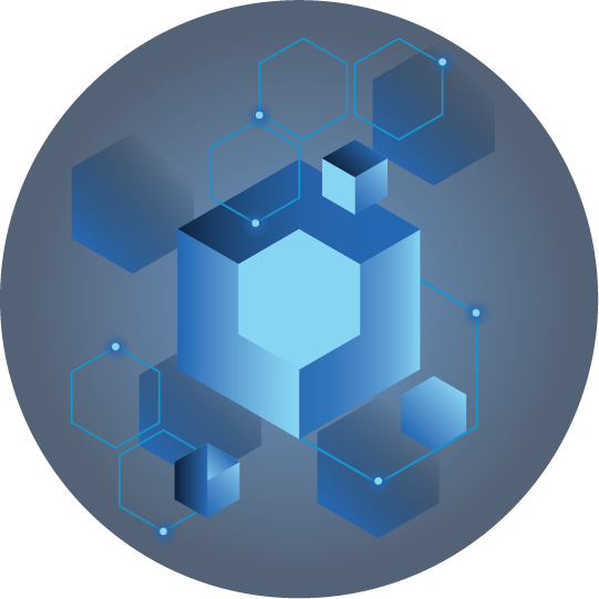 Wagon Network